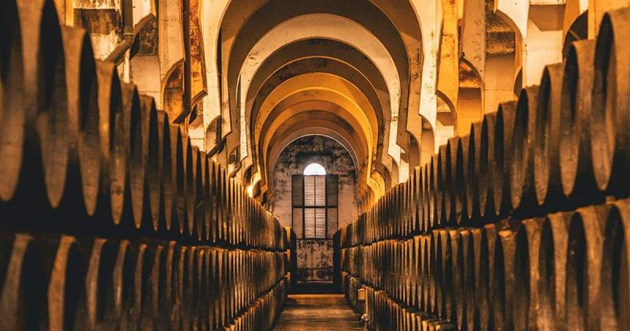 THE OLDEST WINERY IN JEREZ (AND WHERE THE FIRST SPANISH BRANDY WAS BORN)